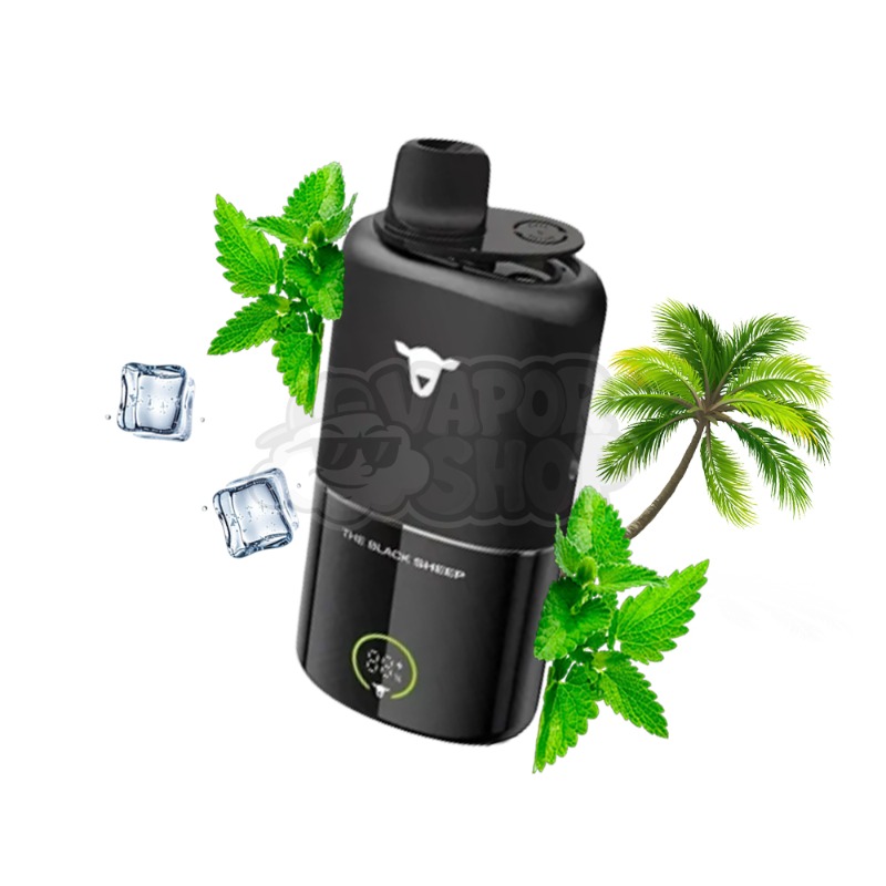 Black Sheep 30K KIT: Menta Ice/ Menta Miami