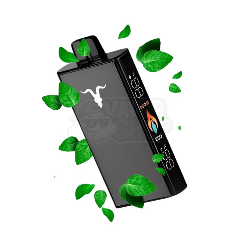 Ignite V250 BLACK: Menta Ice