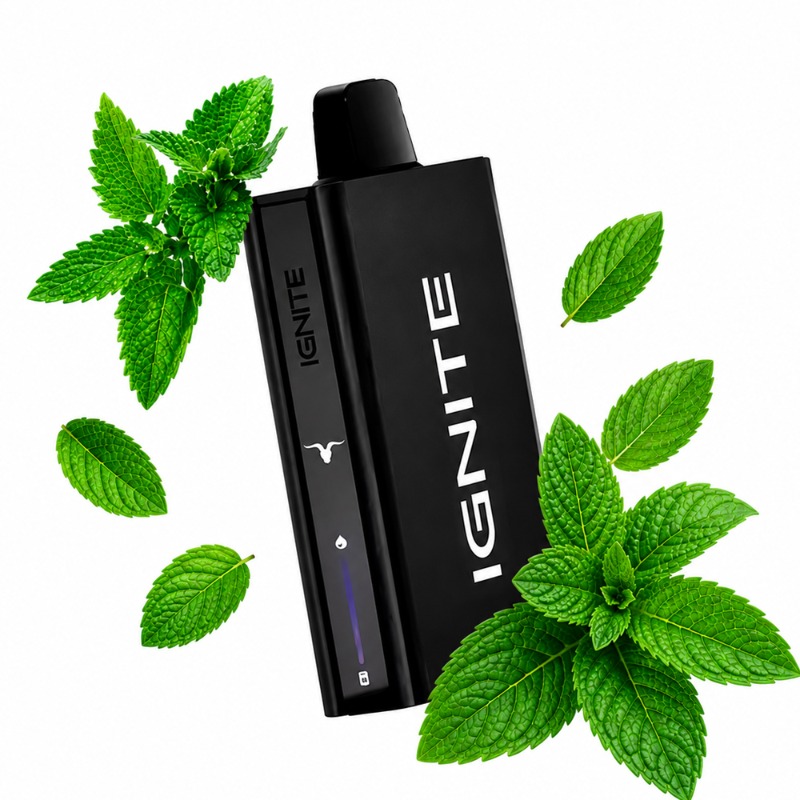 Ignite V55 Ultra Thin: Menta