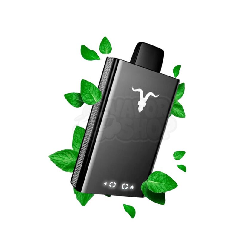 Ignite V50 NE: Menta