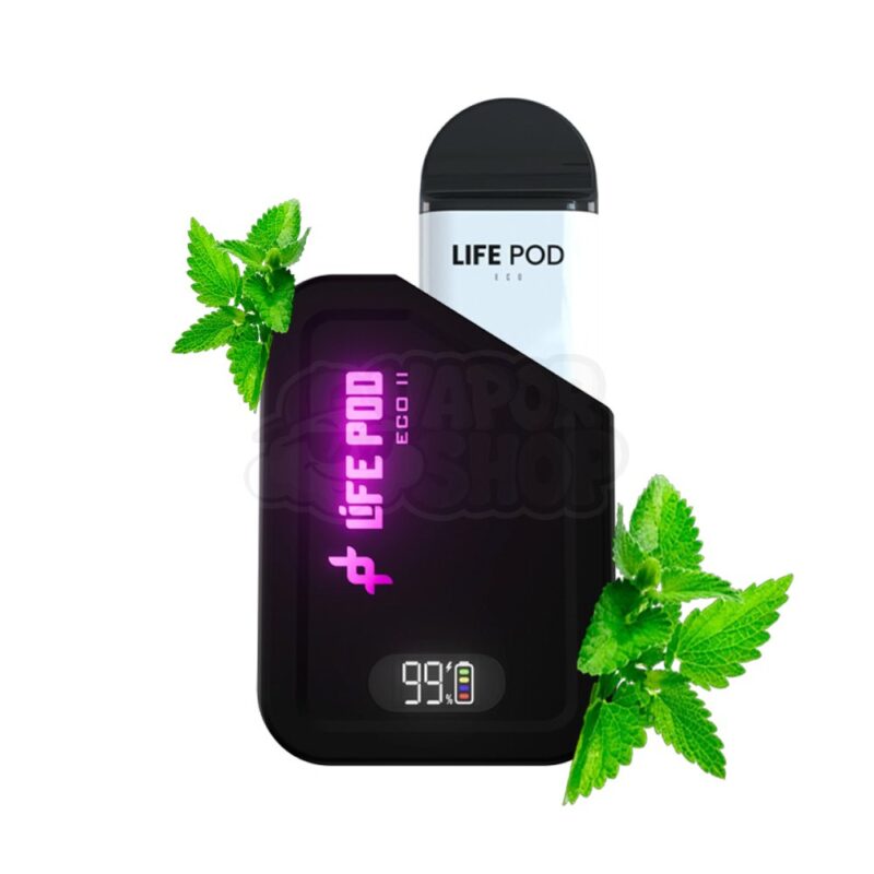 Lifepod 10k KIT:  Menthol