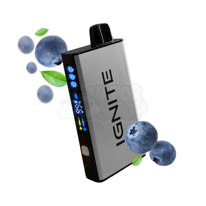 Ignite V400 ICE: Blueberry