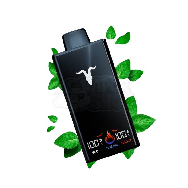 Ignite V300: Menta