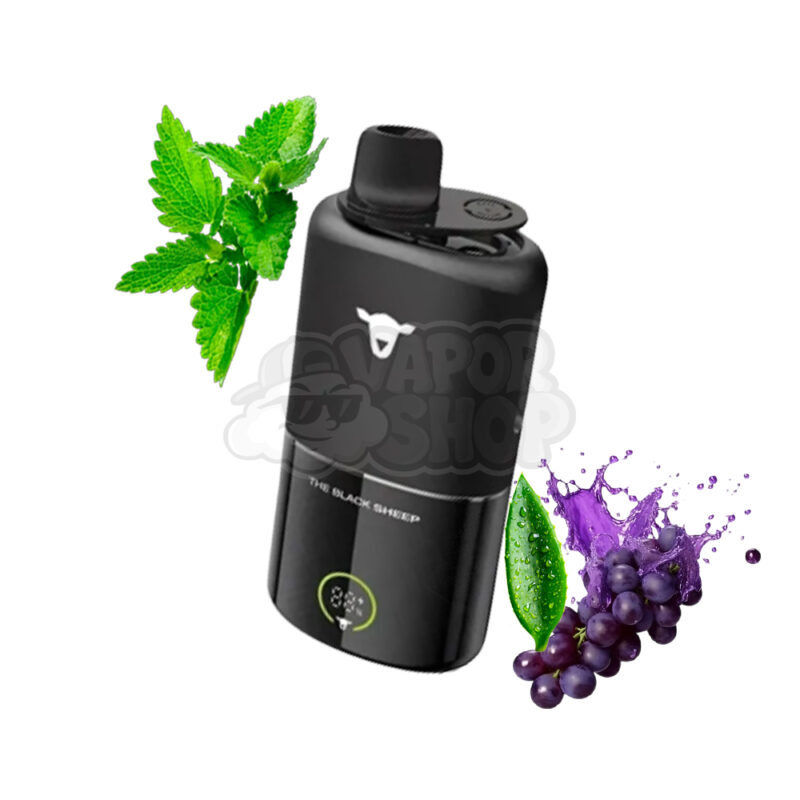 Black Sheep 30K KIT: Uva Aloe Vera / Menta