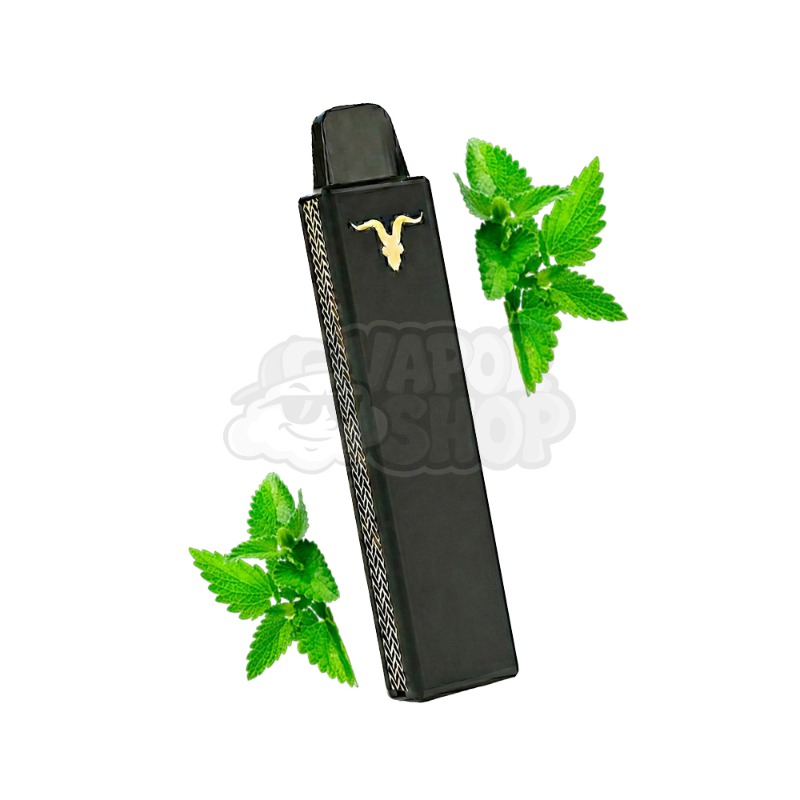Ignite V-NANO: Menta Fraca