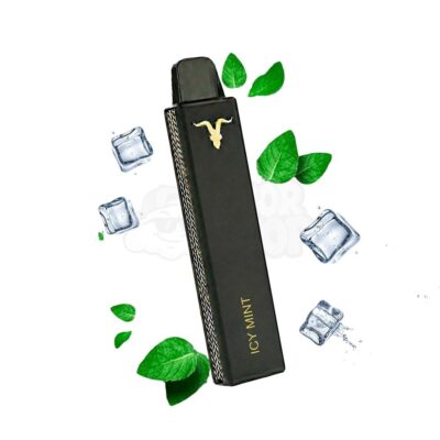 Ignite V-NANO: Menta Ice