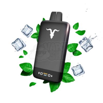 Ignite V155 BLACK: Menta Ice [Icy Mint]