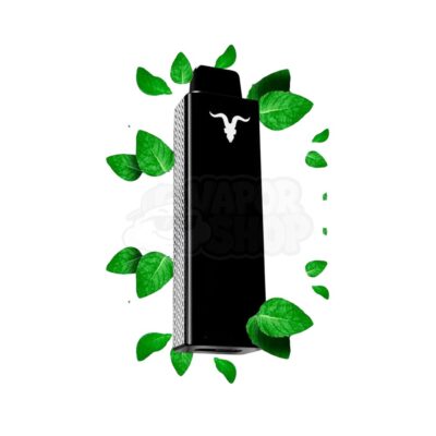 Ignite P100 REFIL: Menta