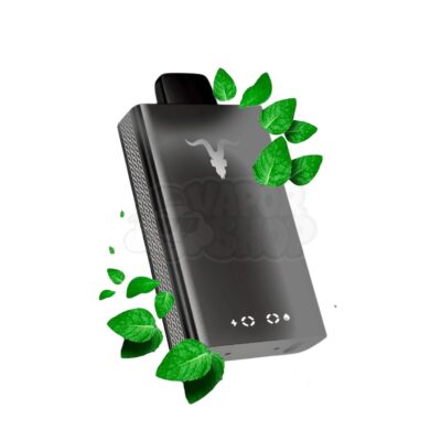 Ignite V80 NE BLACK CHROME: Menta