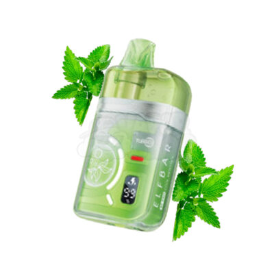 ELFBAR BC45K PRO: Menta