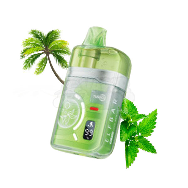 Elfbar BC45K Pro: Menta Miami [Miami Mint]