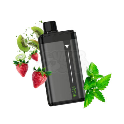 Black Sheep 40K: Morango Kiwi / Menta Ice [Straw Kiwi / Fresh Mint]