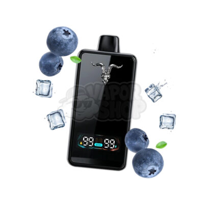 Ignite V300 Ultra Slim: Blueberry Ice