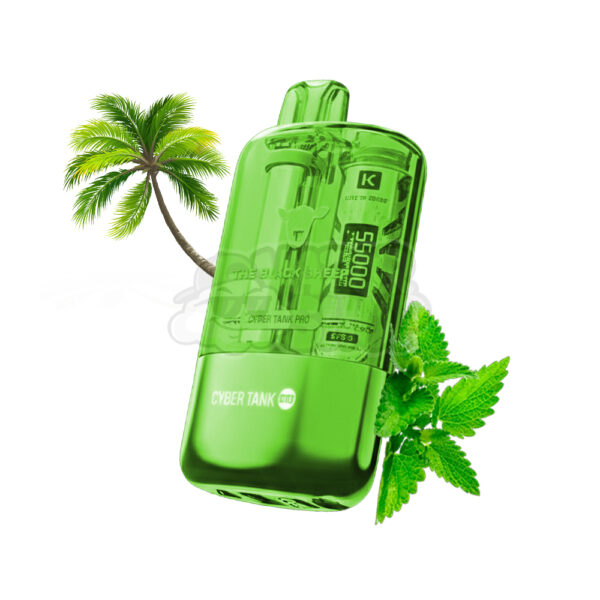 BLACK 55K: Menta Miami