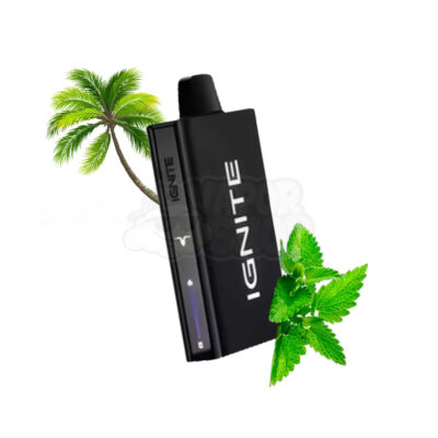 Ignite V55 Ultra Thin: Menta Miami