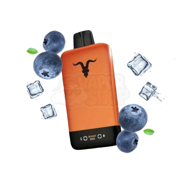 Ignite V155 ORANGE: Blueberry Ice