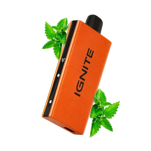 Ignite V55 ORANGE: Menthol