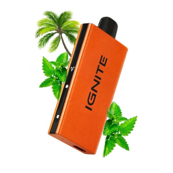 Ignite V55 ORANGE: Menta Miami [Miami Mint]