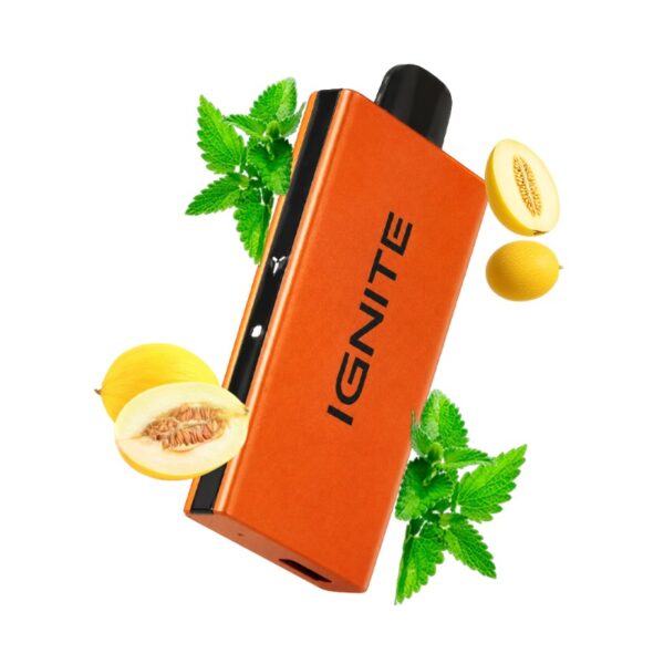 Ignite V55 ORANGE: Menta Melão [Minty Melon]